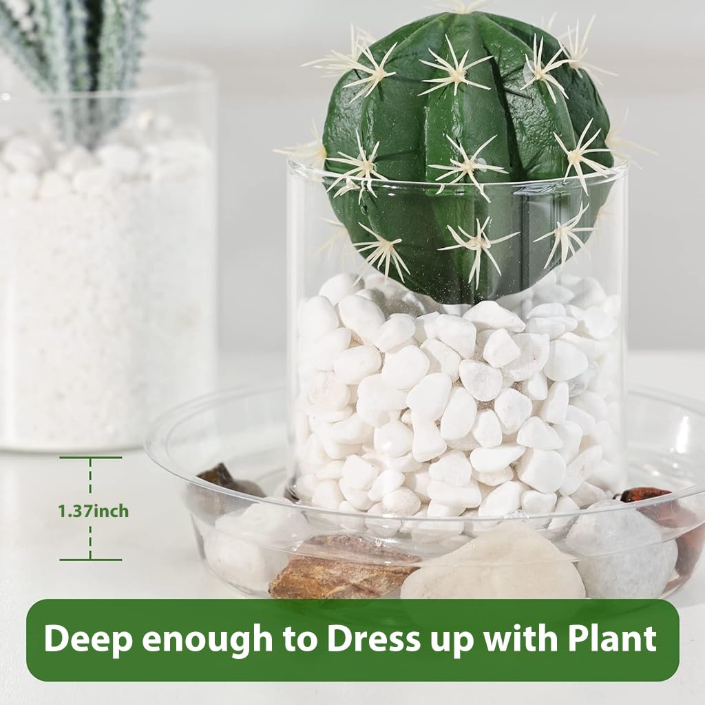 HASTHIP Multipack Plant Pot Saucers-12psc Durable Plastic Trays in 4 Sizes (6''/8''/10''/12''), With Grooved Bottoms For Efficient Drainage, UV-Resistant Indoor & Outdoor Round Plate Set HASTHIP Multipack Plant Pot Saucers-12psc Durable Plastic Trays in 4 Sizes (6''/8''/10''/12''), With Grooved Bottoms For Efficient Drainage, UV-Resistant Indoor & Outdoor Round Plate Set